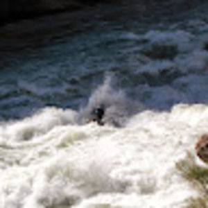 Meet your Posher, Steve